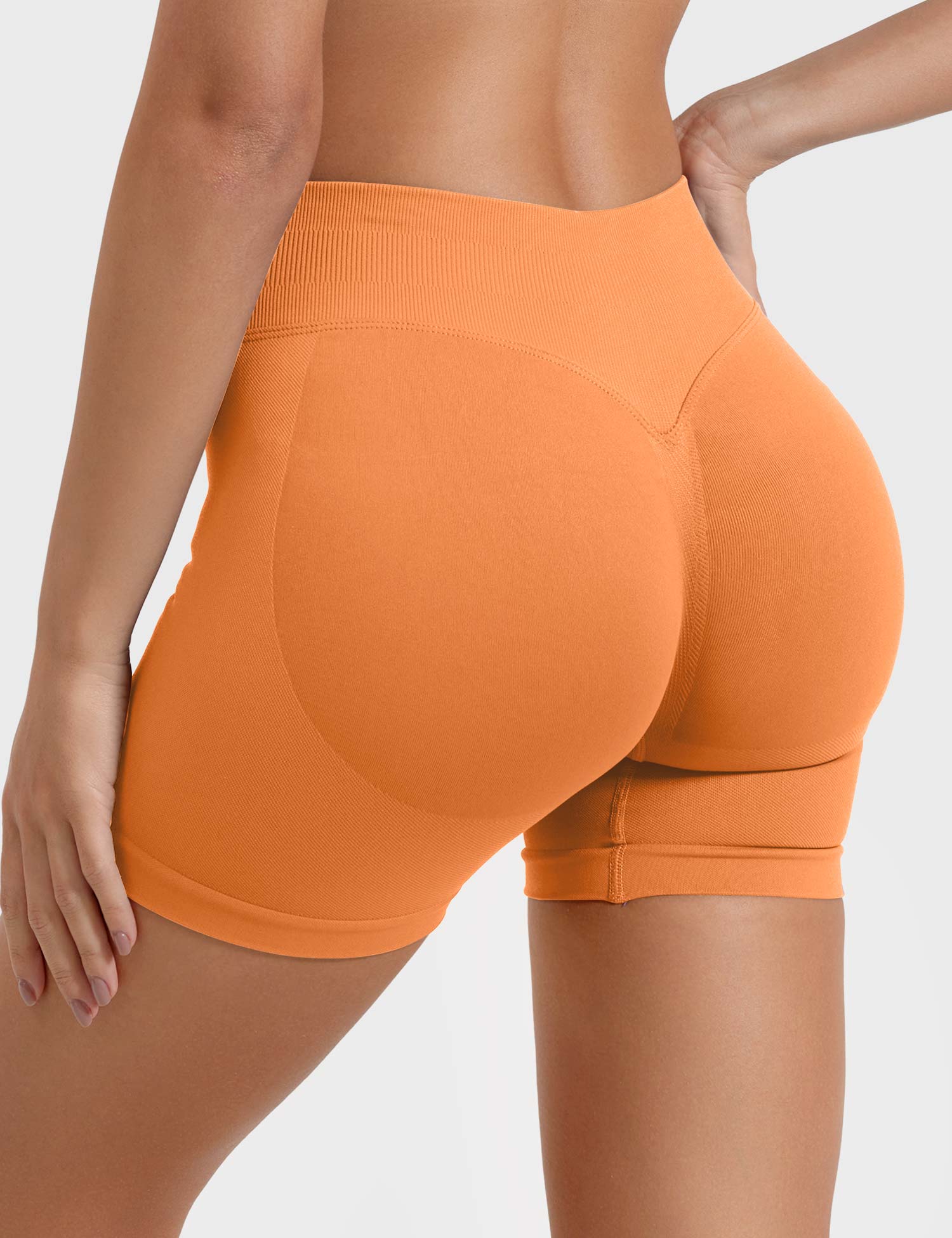 Velouré Eileen 4.5" SoftHue Shorts