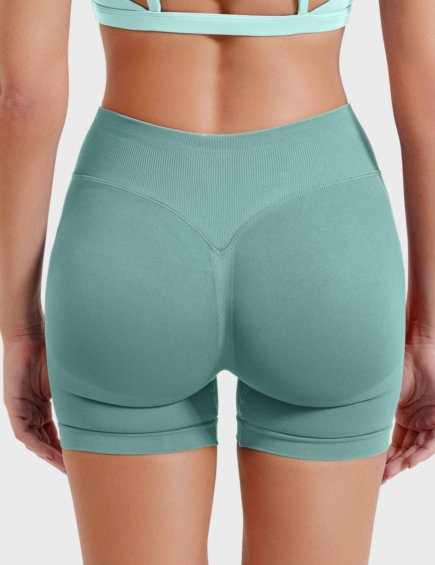Velouré Eileen 4.5" SoftHue Shorts