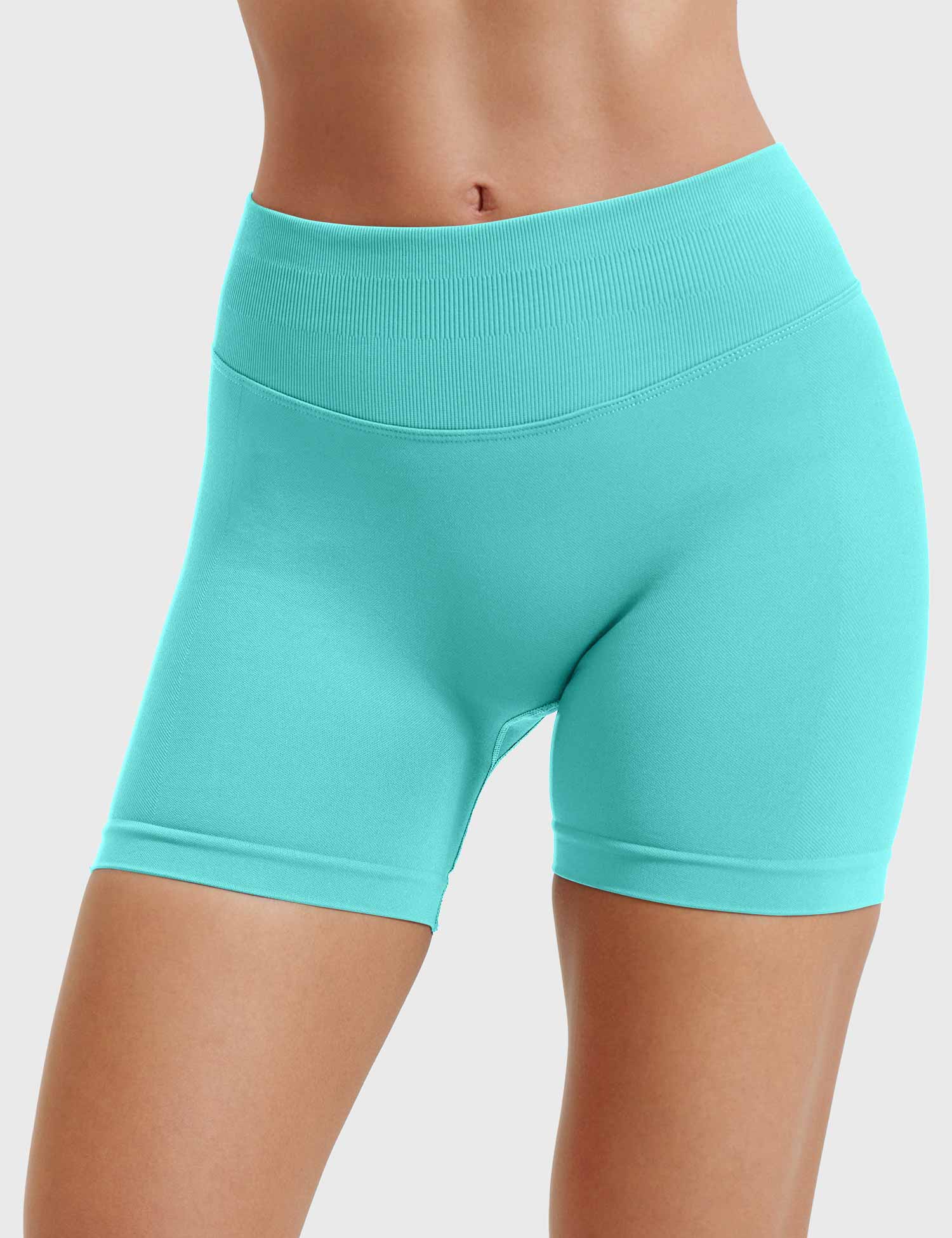 Velouré Eileen 4.5" SoftHue Shorts