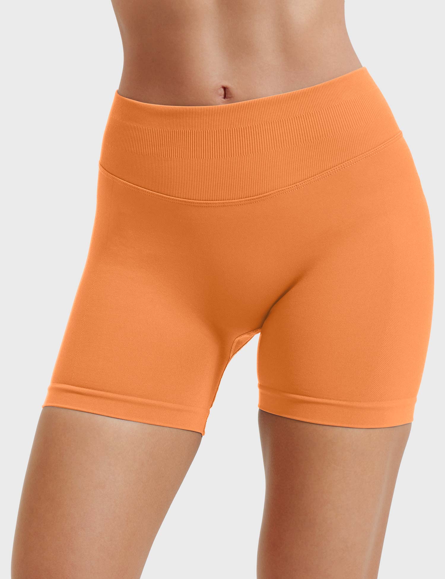 Velouré Eileen 4.5" SoftHue Shorts