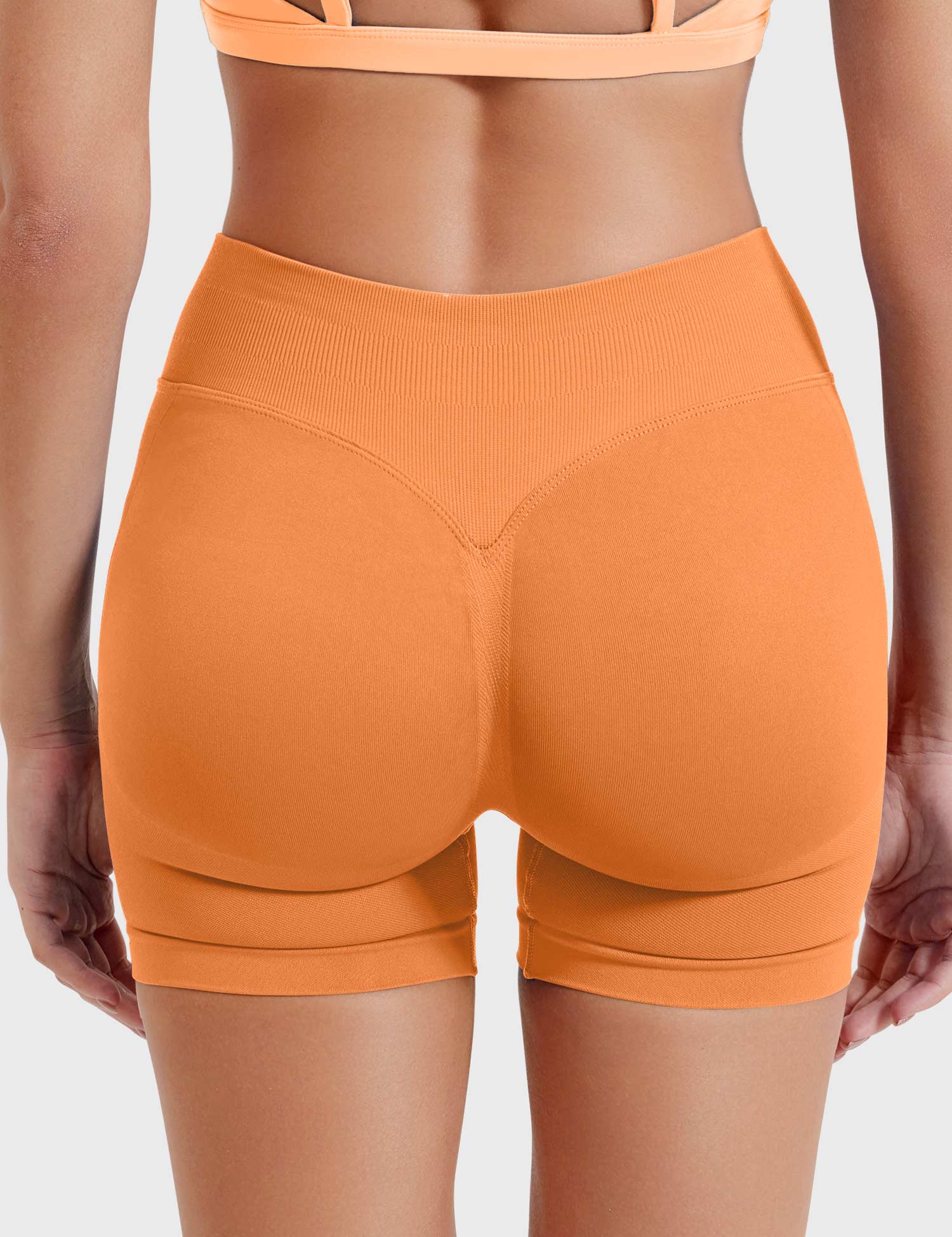 Velouré Eileen 4.5" SoftHue Shorts